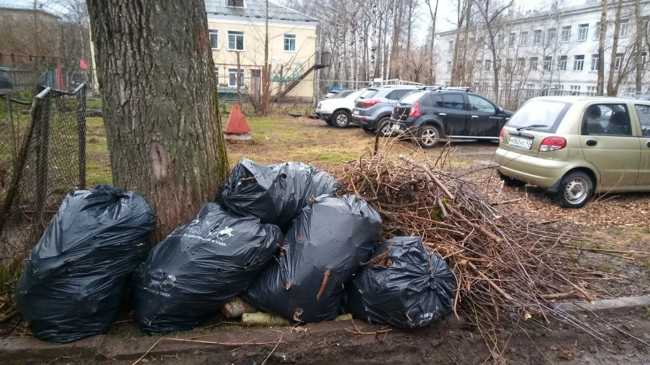 Вывоз мусора после субботника в Томске от ПроМусор – уборка и утилизация отходов от 2568 руб