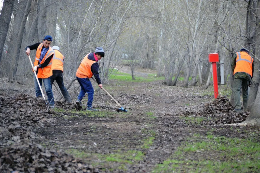 Весенняя уборка территории с вывозом и утилизацией мусора в Томске в октябре